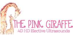 The Pink Giraffe 4D